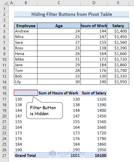 Filter Button is hidden in the Pivot Table