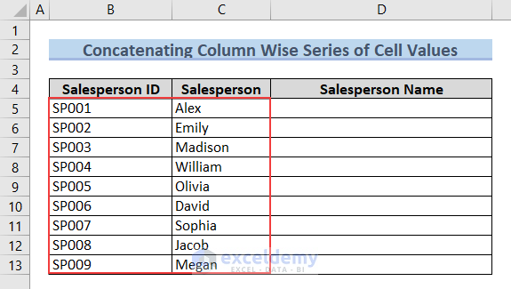 Dataset for Concatenating Cell Values Using Plus (+) Operator 