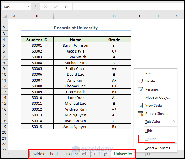 Dataset to be used for very hidden sheets.