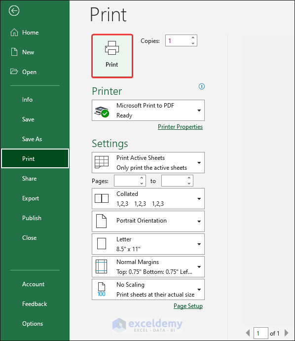 How to print Excel sheet