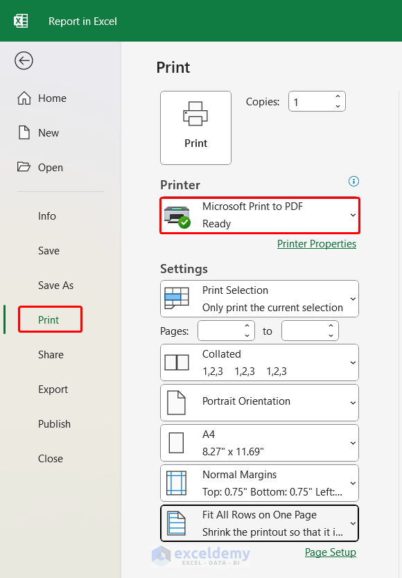 Setting Up Different Parameters in Print Menu