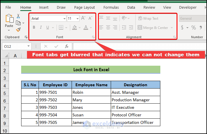 lock fonts in Excel