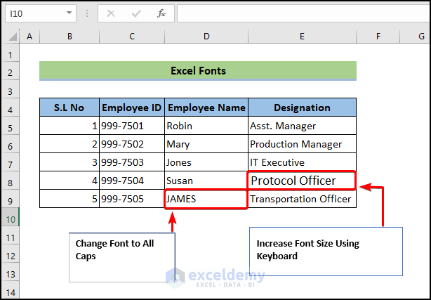 Excel Fonts