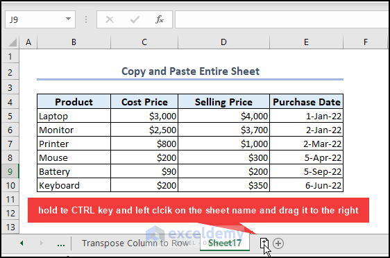 Copying and pasting Entire Sheet in Excel