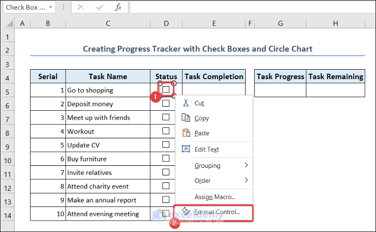 Format Control of the Check Box