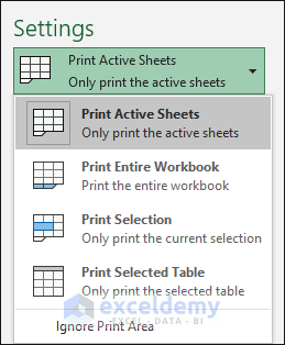Print Settings options