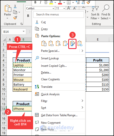 Copy and Paste Formatting Only in Excel