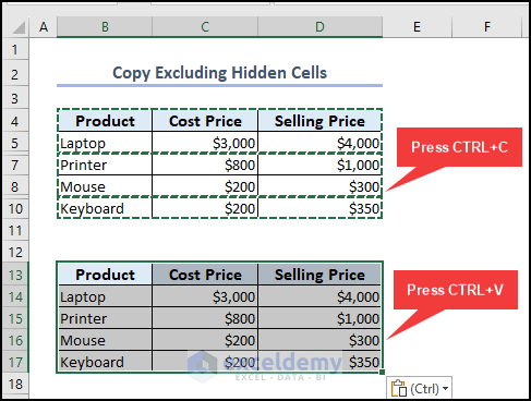 Copy and Paste Visible cells only