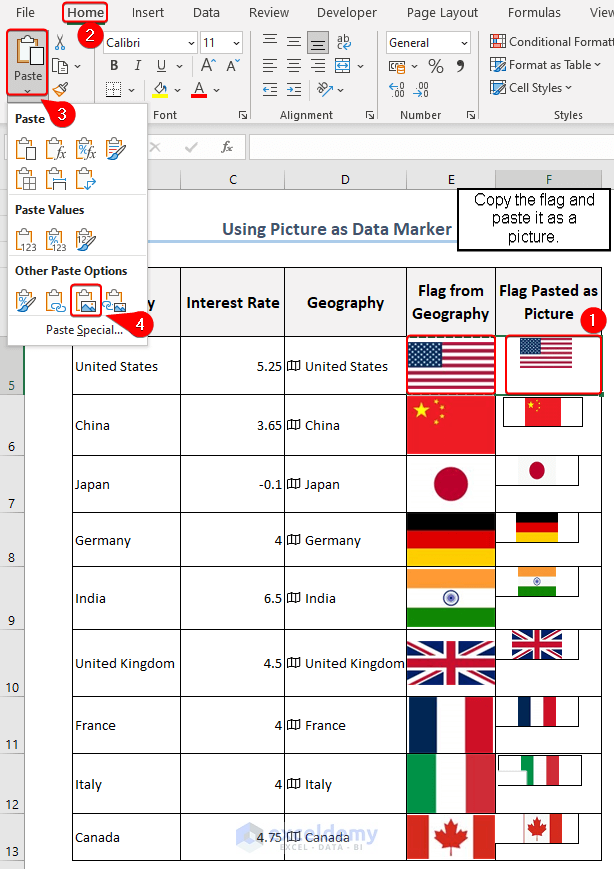 Paste flags as Picture