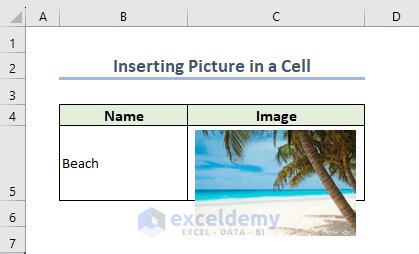 Cell Size Modified but Picture Size Remains Same