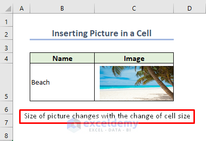 Changing Cell Size Changes the Image Size