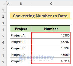 Dates in Number Format