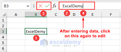 enter and edit data using Excel formula bar