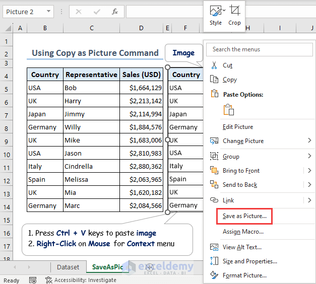 Using Save as Picture option to save an Excel range.