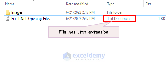 file has .txt extension