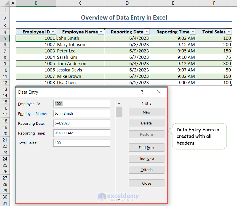 Data Entry in Excel (Basic, Form Creation & Error Handling)