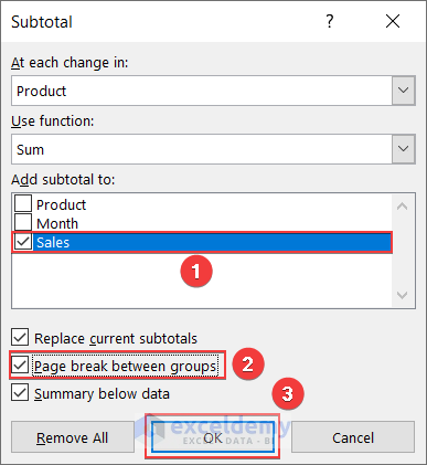 Image13-Setting Page Break Option in Subtotal