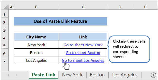 Output of Paste Link Option