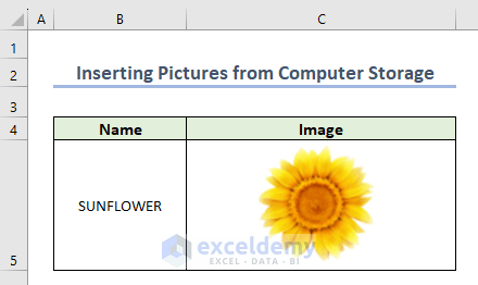 Picture Inserted to Excel Sheet