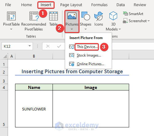 Selecting Browser Option to Insert Picture