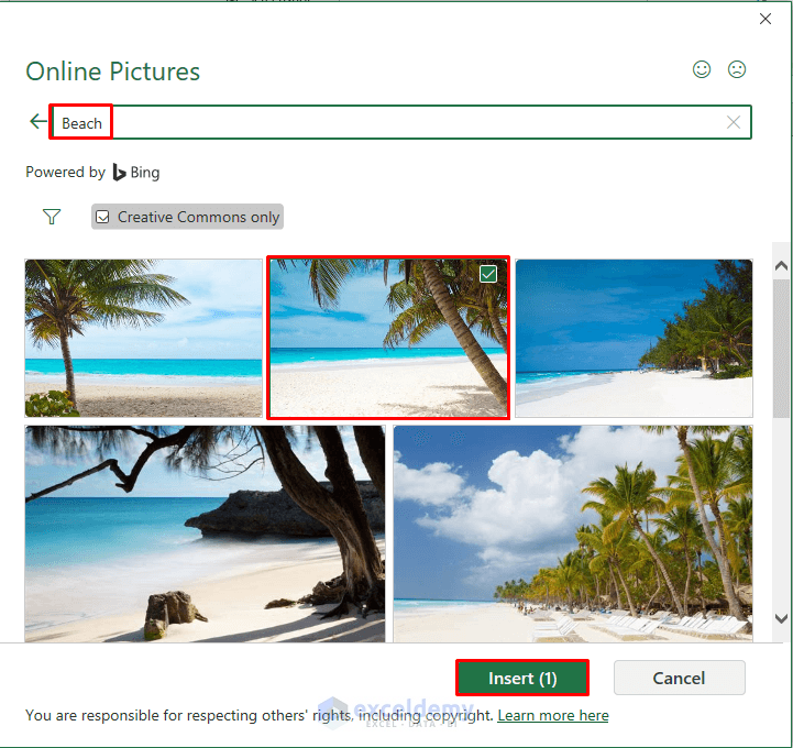 Selecting Pictures from Online Powered by Bing