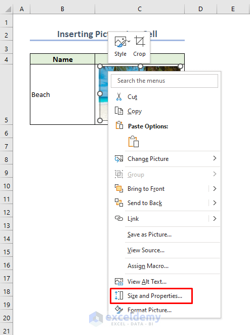 Selecting Size and Properties Option