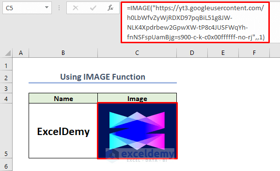 Using IMAGE Function to Insert Picture