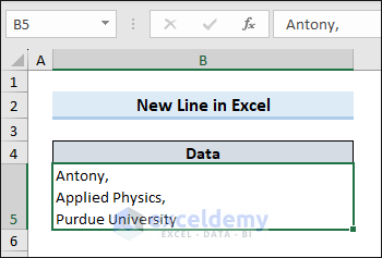 New line in Excel
