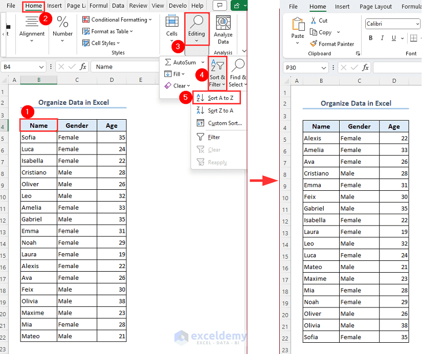Overview image of Organize data in Excel