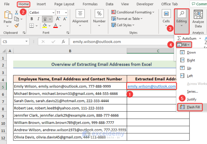 extracting email addresses from Excel