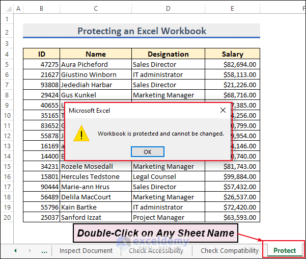 10-Check the protected workbook