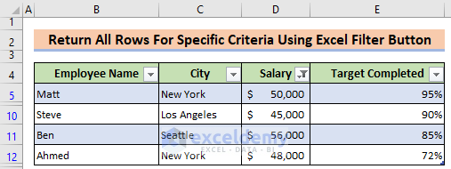 Returned all rows that matched the criteria in Excel using the FILTER Button