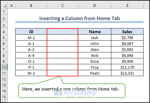 11- inserting new column from home tab in Excel
