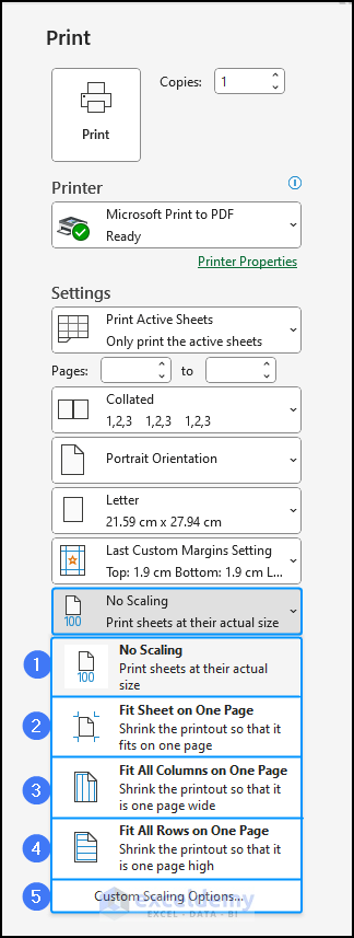 print scale options in the print menu