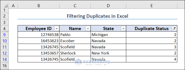 Removed Duplicates Using Filter