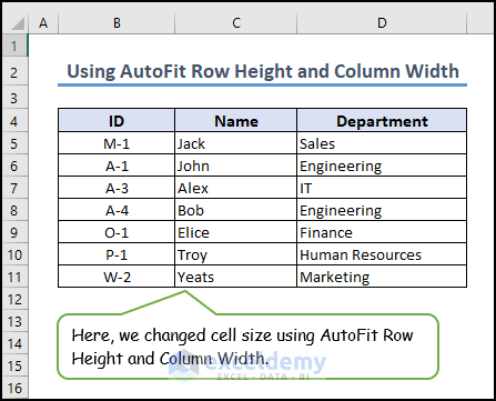 15- adjusted cell size using AutoFit Row Height and Column Width