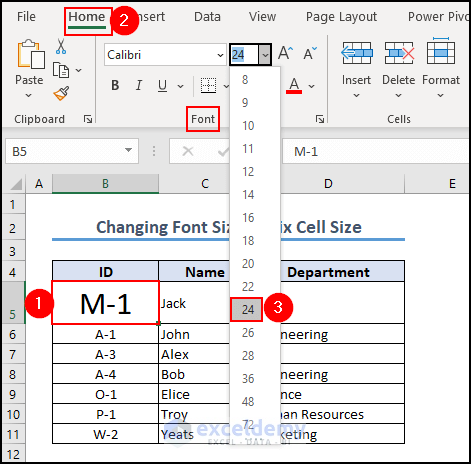 16-  entering font size to fix Excel cell size