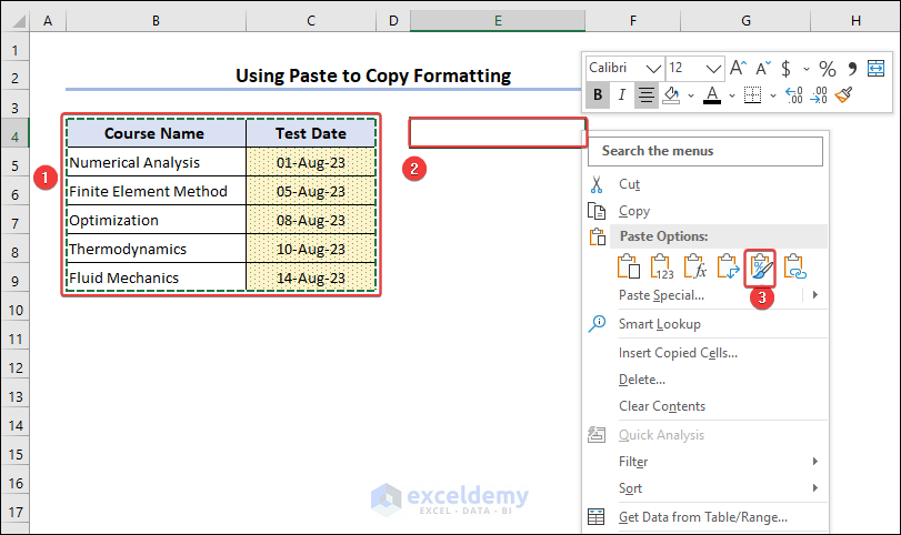 using paste to copy format