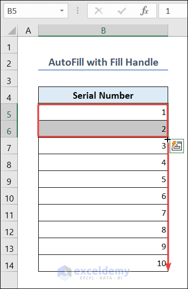 AutoFill with Fill Handle