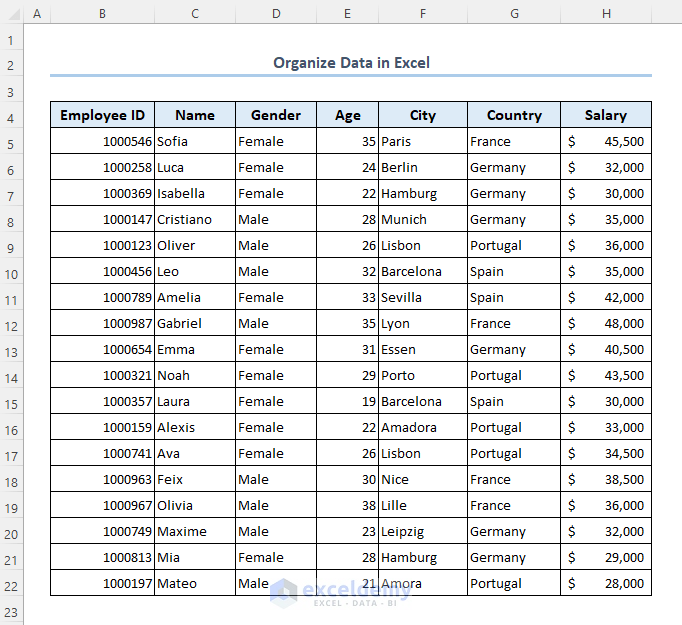 Dataset to organize data in Excel