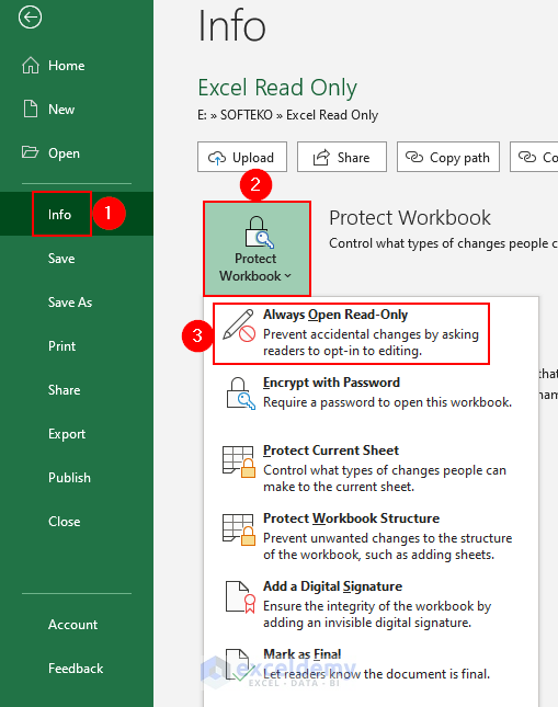 2- selecting Always Open Read-Only option from protect workbook section
