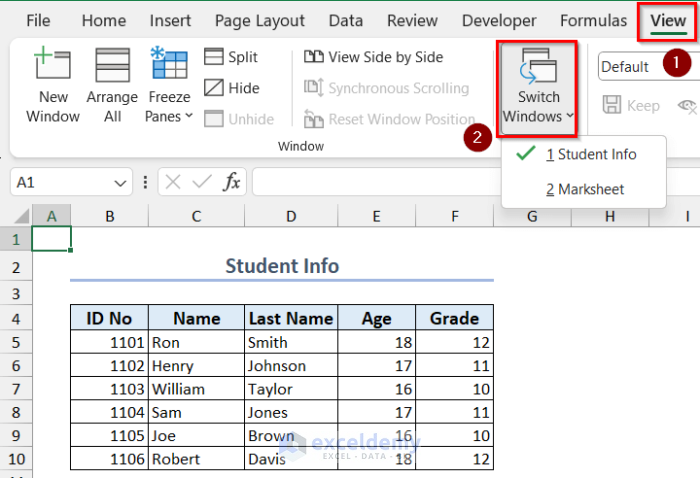 Switching Between Excel Windows Using View Tab