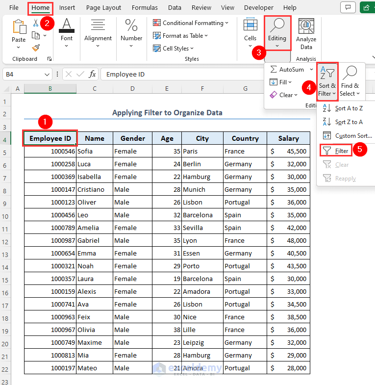 Applying filter feature to dataset to organize data in excel