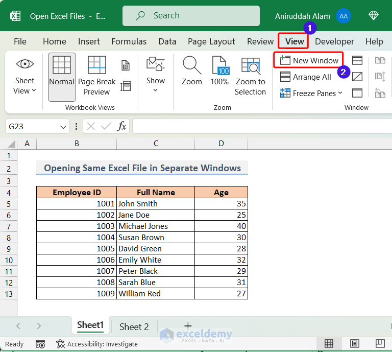 Opening Same Excel File in Separate Windows