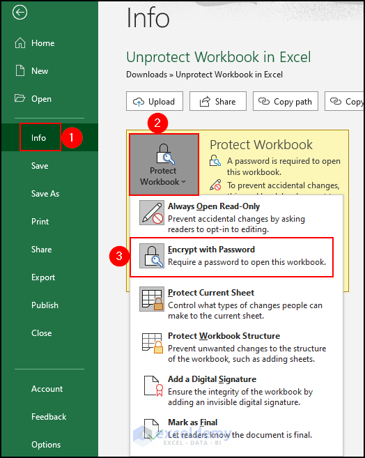 5- selecting Encrypt with Password option from protect workbook section