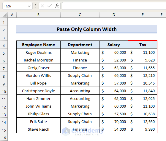 Output After Pasting Only Column Width