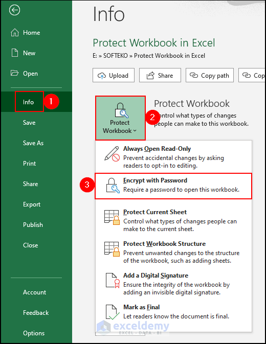 6- selecting Encrypt with Password option from protect workbook section
