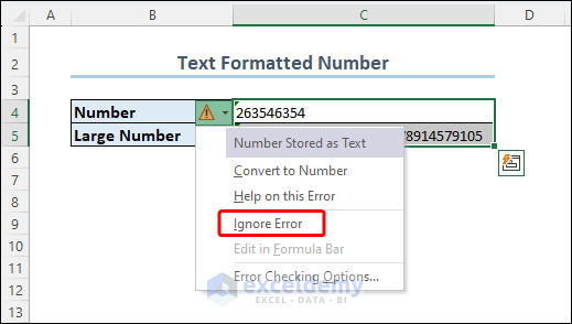 Ignoring Number Stored as Text Error