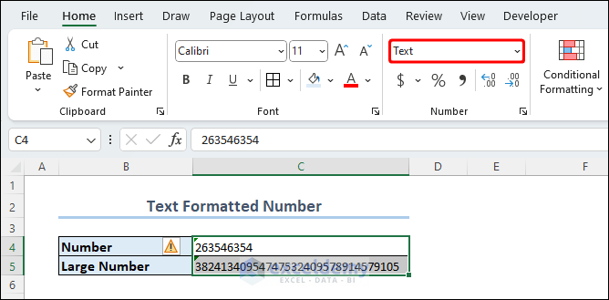 Text Formatted Data Type