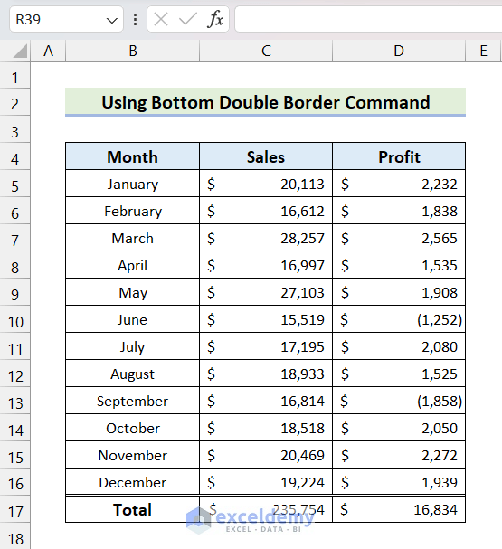 Output of Applying Bottom Double Border Using Built-in Border